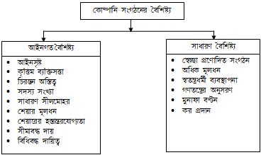 কোম্পানি সংগঠনের বৈশিষ্ট্য