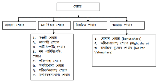 শেয়ারের প্রকারভেদ